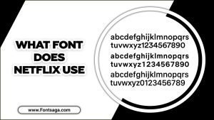 What Font Does Netflix Use – You Need To Know