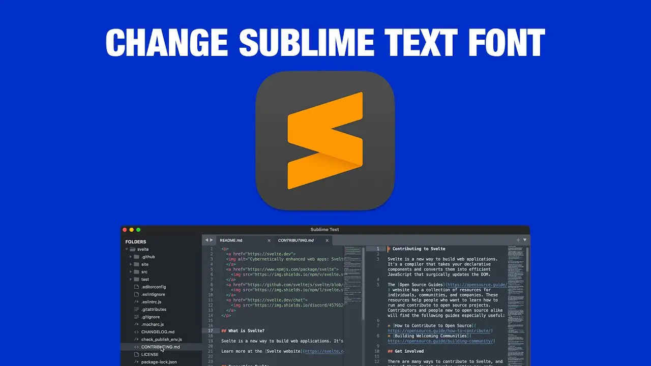 What Is Sublime Font