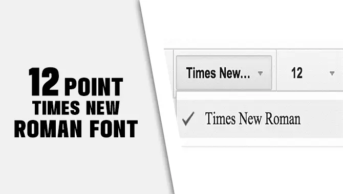12 Point Times New Roman Font