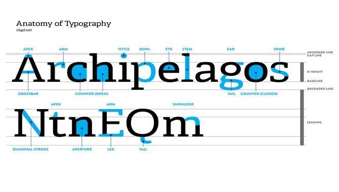 Anatomy Of Social Font