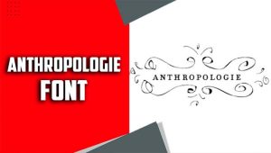 Anthropologie Font – Explained in Details