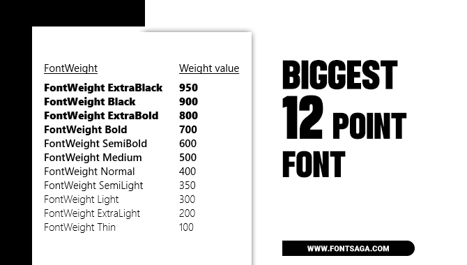 Biggest 12-Point Font