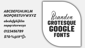 Best 5 Brandon Grotesque Google Fonts For Stunning Designs