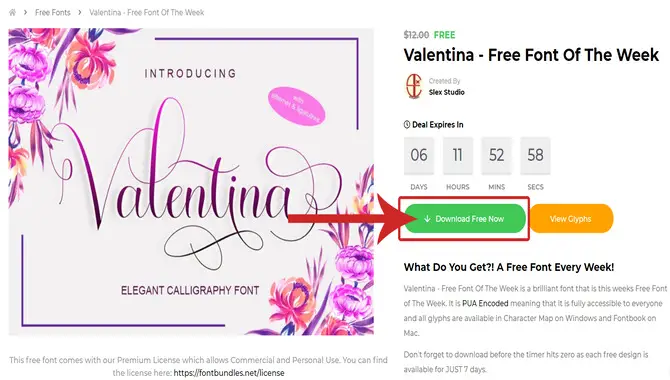 How To Download And Use This Font In Your Designs