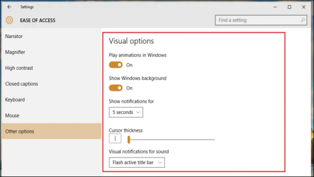 Managing Accessibility Options