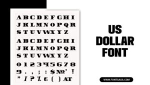 Us Dollar Font: Details Explanation