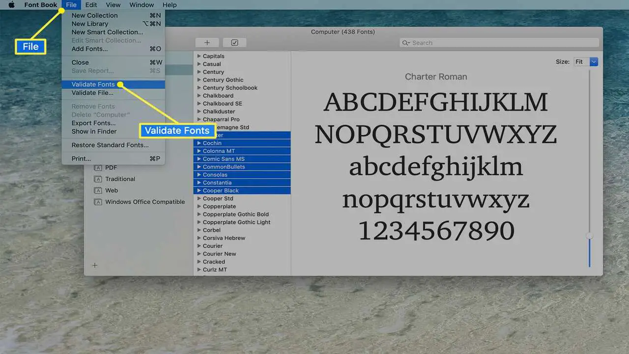 Verifying The Font Installation