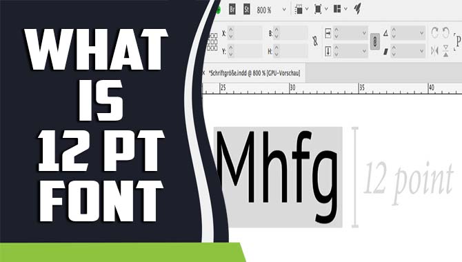 What Is 12 Pt Font