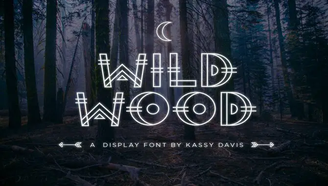 Wild Wood Getting Lost In A Haunted Forest Of Typography