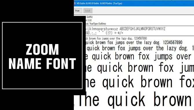 Zoom Name Font