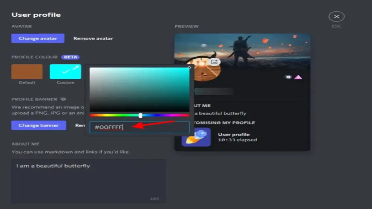 Discord Nitro And Font Color Customization