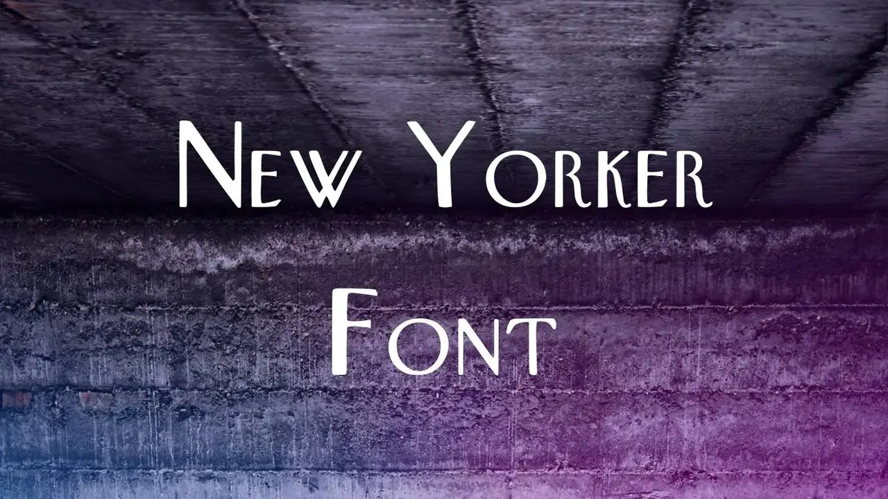 How To Use The New Yorker Font For Web Design