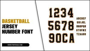 Basketball Jersey Number Font: How To Choose It