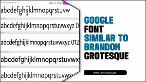 Google Font Similar To Brandon Grotesque: A Guide