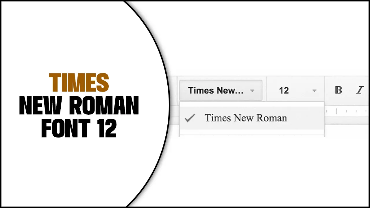 Times New Roman Font 12